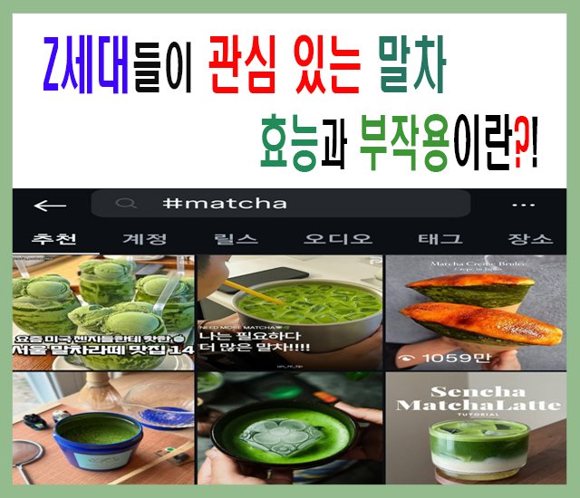 [트렌드 2025] Z세대들이 관심 있는 말차에 대해서 알아보자-1.jpg